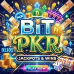 Bit PKR Game Android Gaming App Interface