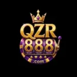 qzr 888 game
